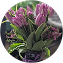 Michelle profile picture